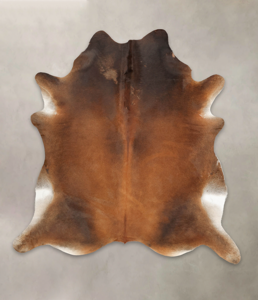 Brown with Red Cowhide Rug #B3398