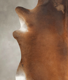 Brown with Red Cowhide Rug #B3398