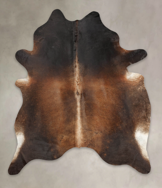 Brown with Red Cowhide Rug #B3399
