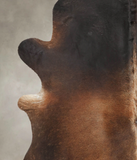 Brown with Red Cowhide Rug #B3399
