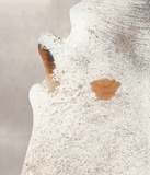 Salt and Pepper Brown Cowhide Rug #B3423