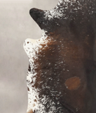 Salt and Pepper Brown Cowhide Rug #B3429