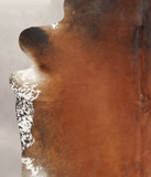 Brown with Red Cowhide Rug #B3439