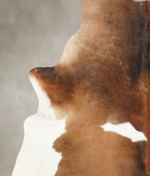 Chocolate and White Cowhide Rug #B3448