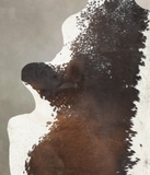Chocolate and White Cowhide Rug #B3453
