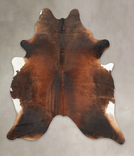 Brown with Red Cowhide Rug #B3493
