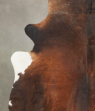 Brown with Red Cowhide Rug #B3493