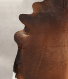 Brown with Red Cowhide Rug #B3494