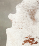 Salt and Pepper Brown Cowhide Rug #B3509
