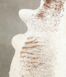 Salt and Pepper Brown Cowhide Rug #B3512