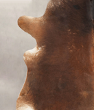 Brown with Red Cowhide Rug #B3523