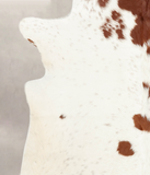 Brown and White Regular Cowhide Rug #B3545