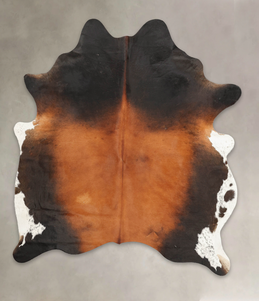 Brown with Red Cowhide Rug #B3558