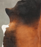 Brown with Red Cowhide Rug #B3558
