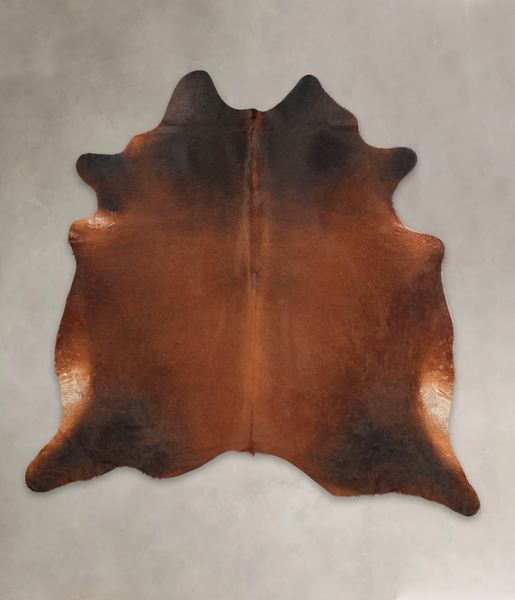 Brown with Red Cowhide Rug #B3563