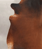 Brown with Red Cowhide Rug #B3563