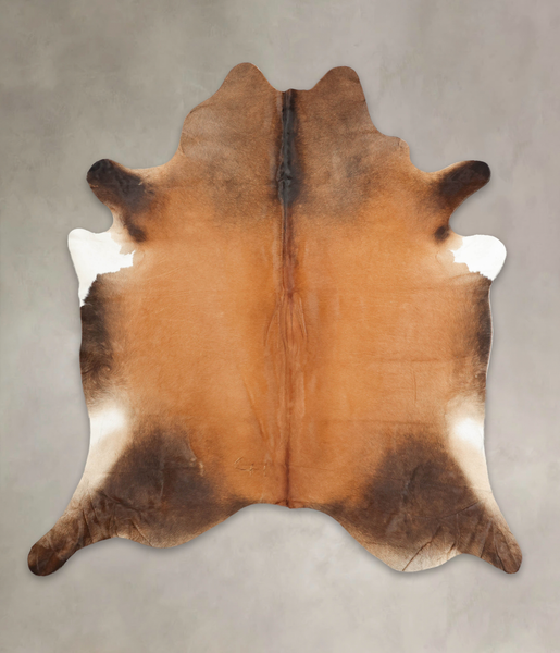 Brown with Red Cowhide Rug #B3565