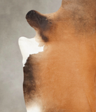 Brown with Red Cowhide Rug #B3565