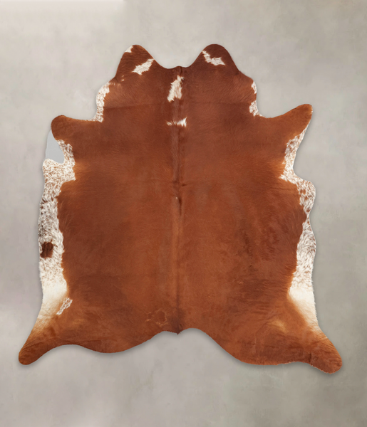 Brown and White Regular Cowhide Rug #B3584