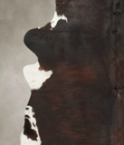 Dark Brindle Cowhide Rug #B3596