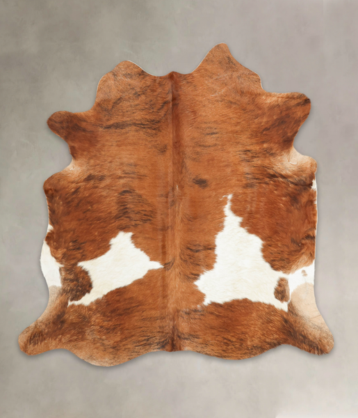 Tricolor Cowhide Rug #B3616