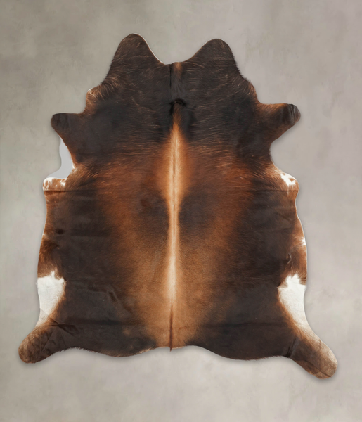 Brown with Red Cowhide Rug #B3633