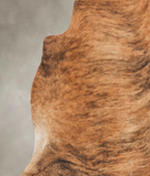 Medium Brindle Cowhide Rug #B3650