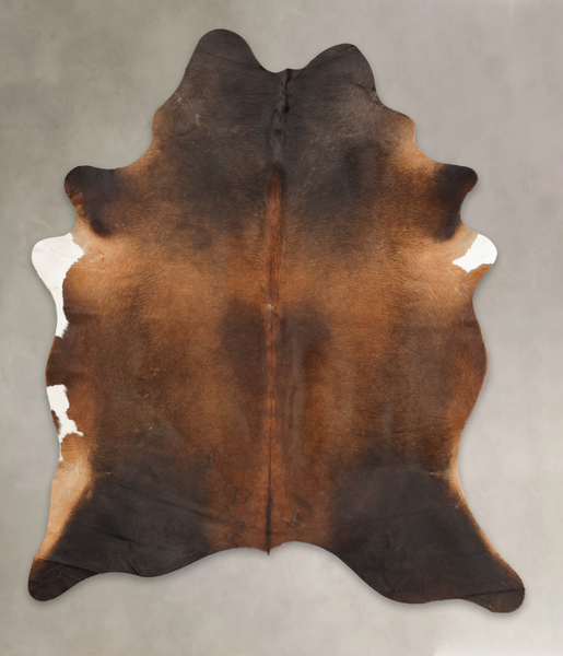 Brown with Red Cowhide Rug #B3651