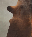 Chocolate Cowhide Rug #B3664