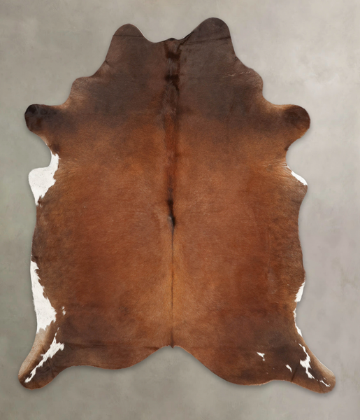 Brown with Red Cowhide Rug #B3695