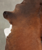 Brown with Red Cowhide Rug #B3695