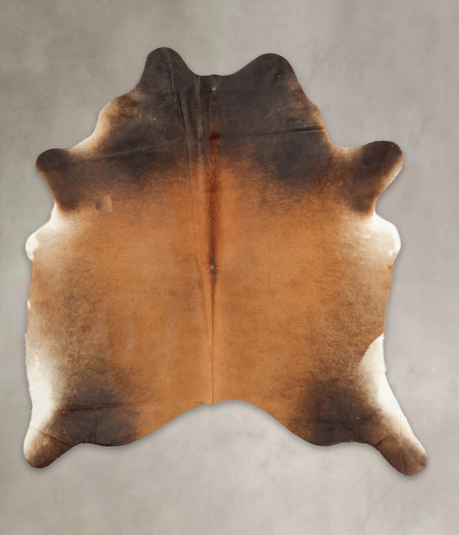 Brown with Red Cowhide Rug #B3719