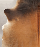 Brown with Red Cowhide Rug #B3719