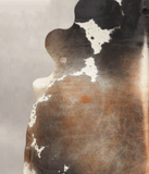 Chocolate and White Cowhide Rug #B3720