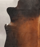 Brown with Red Cowhide Rug #B3748