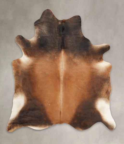 Brown with Red Cowhide Rug #B3754