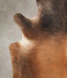 Brown with Red Cowhide Rug #B3754
