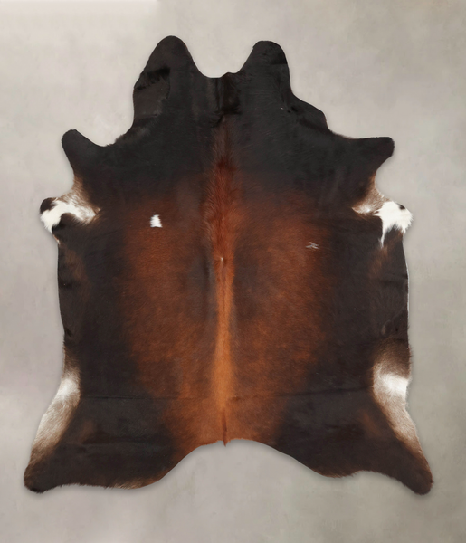 Brown with Red Cowhide Rug #B3755