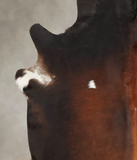 Brown with Red Cowhide Rug #B3755
