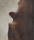 Chocolate Cowhide Rug #B3761