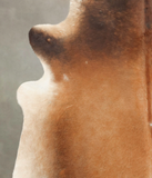 Brown with Red Cowhide Rug #B3771