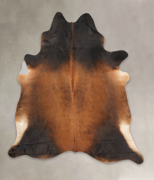 Brown with Red Cowhide Rug #B3779