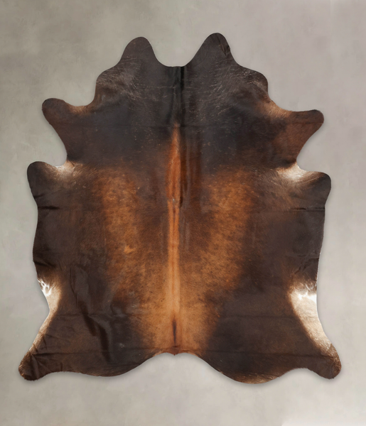 Brown with Red Cowhide Rug #B3784