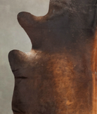 Brown with Red Cowhide Rug #B3784