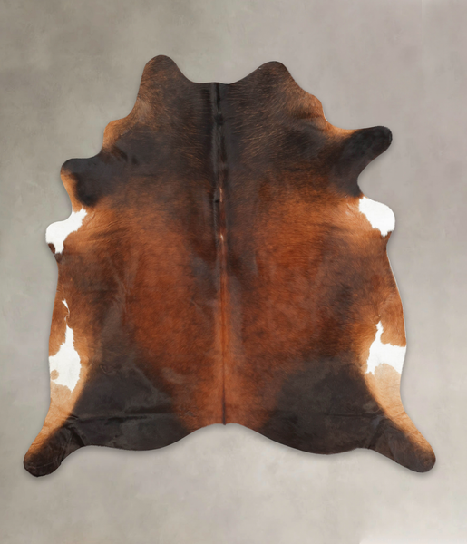 Brown with Red Cowhide Rug #B3800