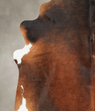 Brown with Red Cowhide Rug #B3800