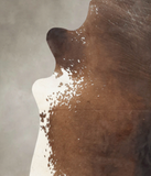 Salt and Pepper Brown Cowhide Rug #B3803