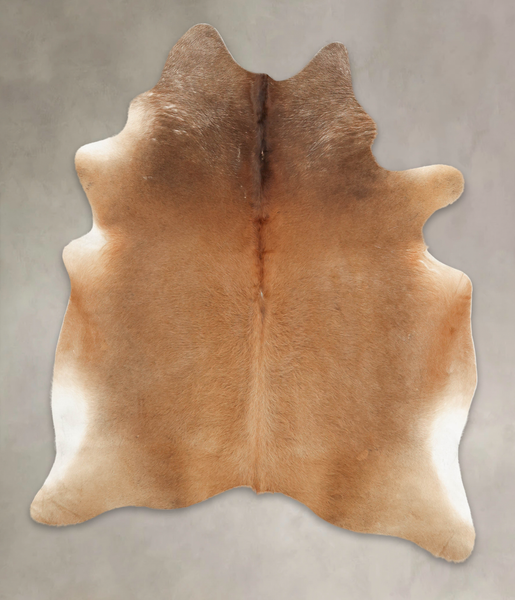 Caramel Cowhide Rug #B3818
