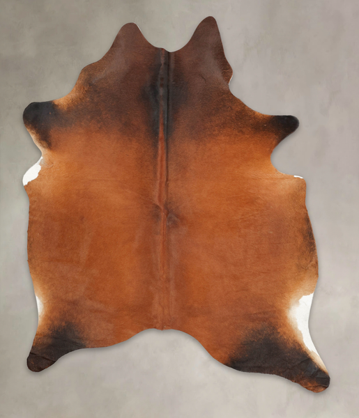 Brown with Red Cowhide Rug #B3819