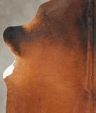 Brown with Red Cowhide Rug #B3819